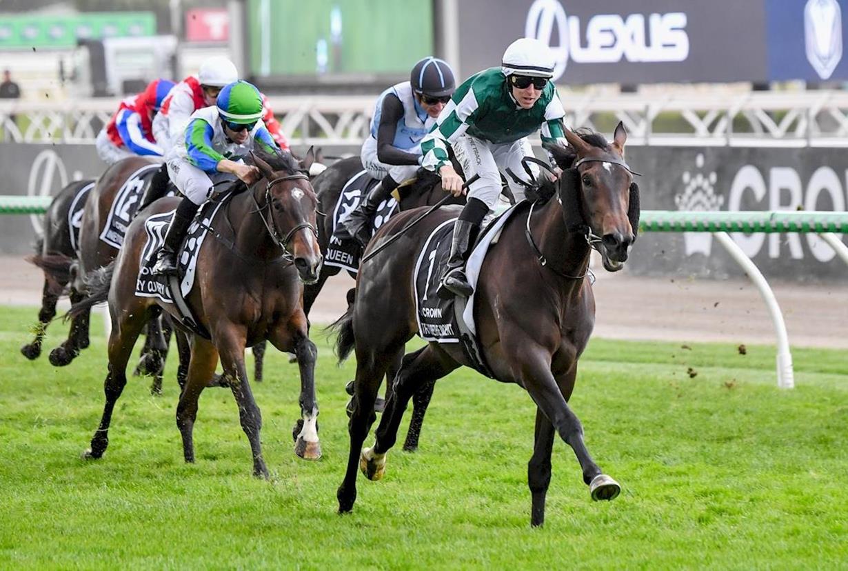 HURRY CURRY PLACES IN VRC OAKS